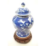 Large Chinese porcelain ginger jar and cover on carved wooden stand, the blue ground decorated