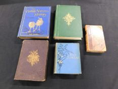 THOMAS MOORE: BRITISH WILD FLOWERS FAMILIARLY DESCRIBED IN THE FOUR SEASONS..., London, Reeve &