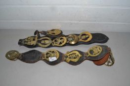 Collection of horse brasses on leather straps