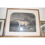 19th Century coloured engraving, Warhorse, framed and glazed