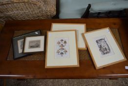 Mixed Lot: Various coloured prints to include fruit, dessert, fish etc