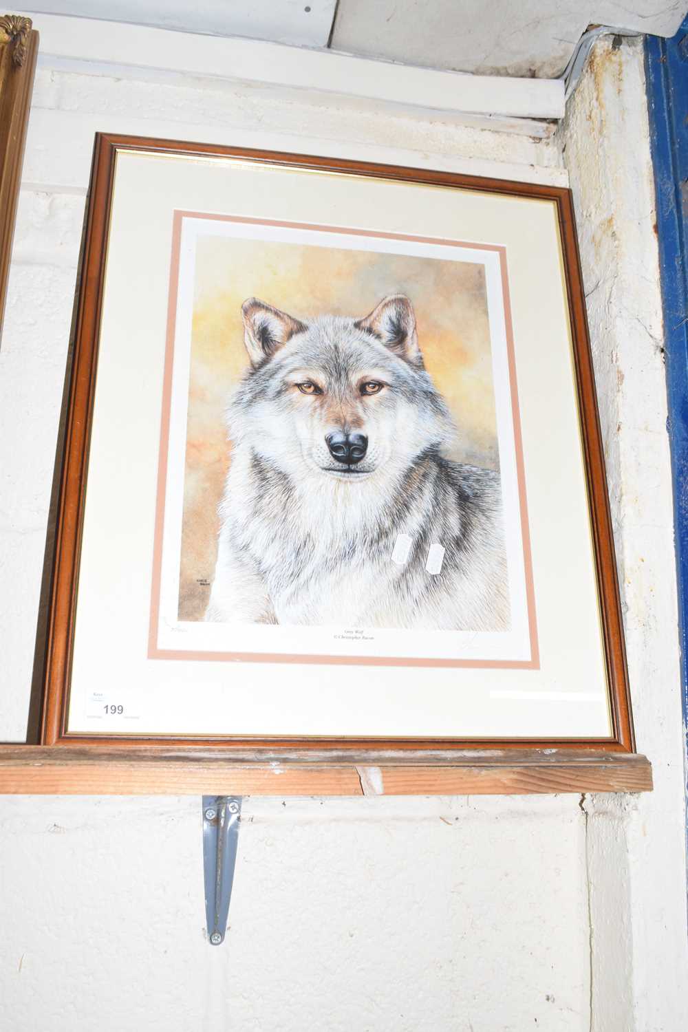 After Christopher Bacon, Grey Wolf, coloured print, framed and glazed
