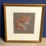 HEINRICH STOLTZ (C20th), German School, pastel portrait of a cat, 23 x 18cm, framed and glazed