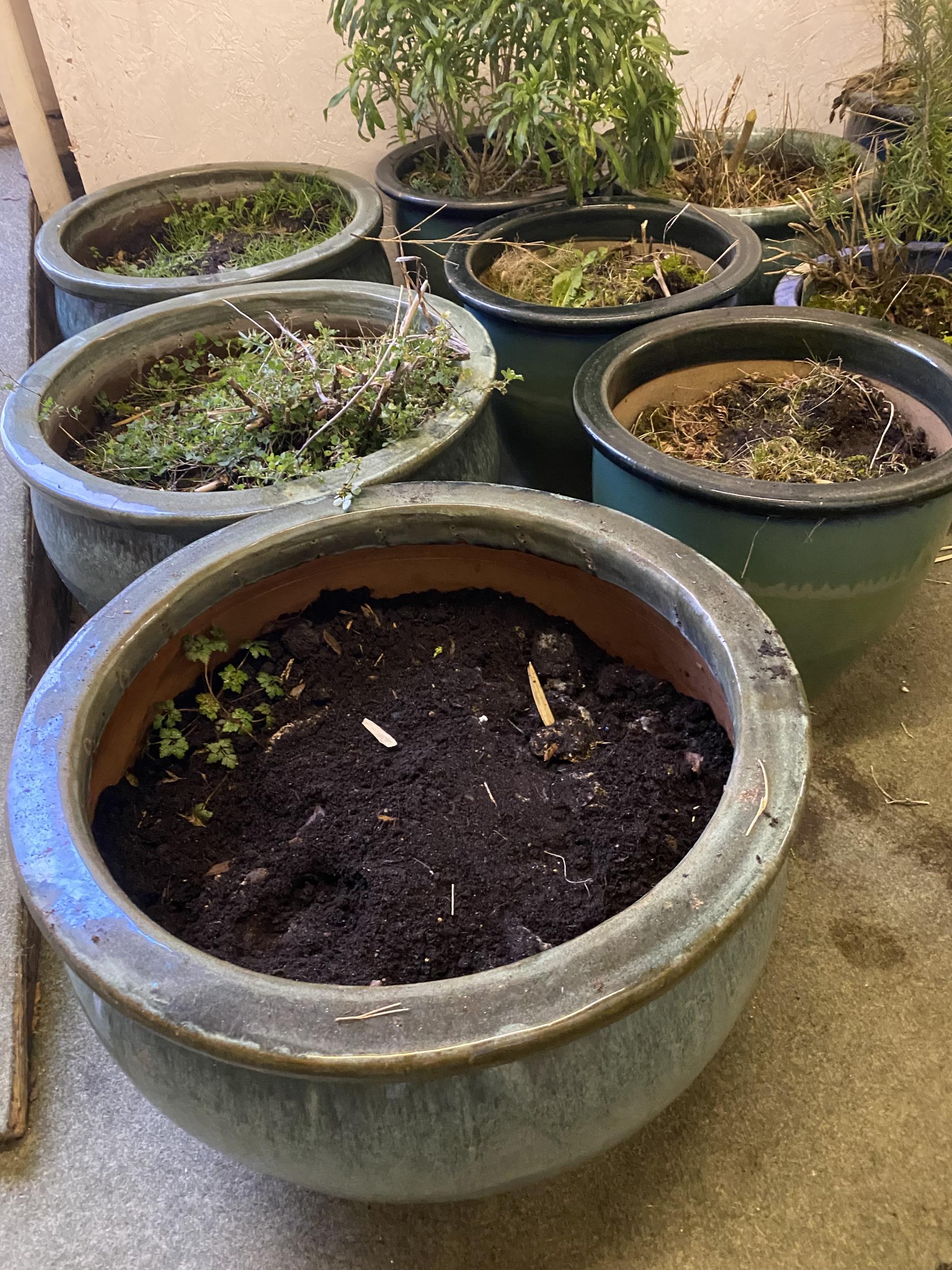 Quantity of garden pots - GREEN coloured. All from house clearance - as found - some might have