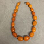 Strand of graduated honey amber beads 57g 44cm