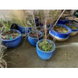 Quantity of garden pots - BLUE coloured. All from house clearance - as found - some might have