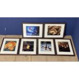 The famous Roux Family Chefs memorabilia: Six framed and glazed photographs if mushrooms 39cm x 31cm