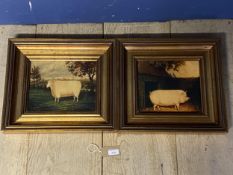 A pair of modern gilt framed pictures of a pig and a sheep, 28.5 x 21.5cm