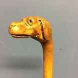 Small walking cane, with the top figured as a dogs head, with eyes