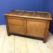 Oak chest with rising 3 panelled lid, on 4 raised legs 59h x 100w x 47d cm, some wear to top