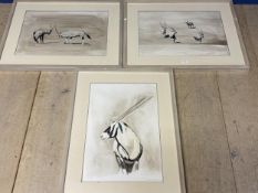 CLAIRE SANDERS, Watercolour, set of 3 of Ibex, signed in pencil lower right, framed and glazed, 36 x