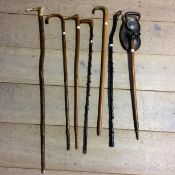 Quantity of walking canes, shooting stick and horn handled cane (7)