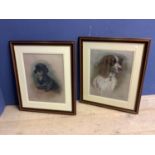 Mayone Cox, English School, pair of pastel portraits of dogs, in glazed oak and gilt frames, 48 x