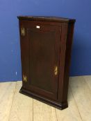 Small dark oak hanging corner cupboard with brass hinges and with key 96h x 67 w x 33 d cm