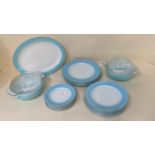 Pyrex blue and white plates and dishes