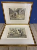 Pair of Henry Wilkinson, limited edition prints of Spaniels, in gilt glazed frames, signed in pencil