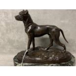 A bronze model of a Great Dane Dog, on an oval marble stand, 20 x 11 x 17cm
