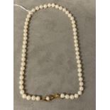 A single strand of cultured uniform pearls by Mikimoto on a 9ct gold clasp with box and certificate,