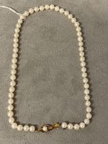 A single strand of cultured uniform pearls by Mikimoto on a 9ct gold clasp with box and certificate,