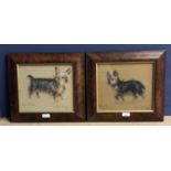 Pair of glazed framed charcoal/chalk portrait drawings of terriers, one signed lower left Harvey