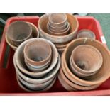 Quantity of terracotta garden pots