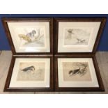 After George Vernon Stokes (173-1954), set of 4 sporting prints, of gun dogs and hounds,