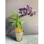 A decorative faux flower arrangement of blue orchid in glass pot and mirrored planter