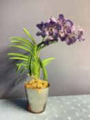 A decorative faux flower arrangement of blue orchid in glass pot and mirrored planter