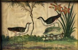 C19th century watercolour on silk, of exotic birds and flowers in a gilt glazed frame 17.5 cm x 27.5