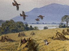 J C HARRISON (1898-1985), watercolour on paper, Birds in Flight, on glazed frame, 38x 55cm ,