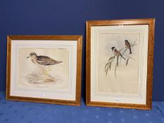Two framed and glazed and mounted coloured prints of birds, "Thick -Kneed Bustard", and Reed