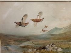 ROWLAND GREEN (1890-1972), watercolour on paper, of Game Birds in Flight in gilt glazed frame,