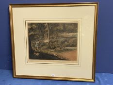 Framed and glazed and mounted print of Woodcock Shooting, Alkin, R Reeve, Sculf, image only, 37 x