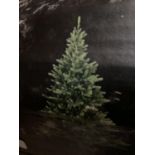 CHRISTMAS: Indoor Faux Christmas Tree - Babylon pine tree, height 2.1m (7ft) from John Lewis (please