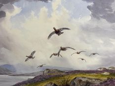 J C HARRISON (1898-1985), watercolour on paper, Grouse in Flight, on glazed frame, 28x 40cm,