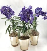 Three impressive faux flowers, of purple orchid arrangements in glass containers, and mirrored