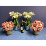 Two pairs of faux flowers arrangements: a pair of red and white variegated Poinsettia, in mottled