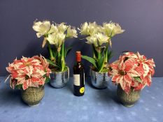 Two pairs of faux flowers arrangements: a pair of red and white variegated Poinsettia, in mottled