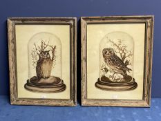 Pair of OKA Contemporary framed and glazed pictures of owls ,45x 41cm,