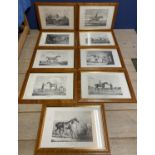A set of 9 equestrian prints in glazed walnut frames, printed J Doyle lithographs, printed by C