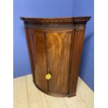 Mahogany corner cabinet