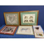 A quantity of framed and glazed pictures, to include a map of Germany, Zebra, Labrador, pug, and A