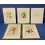 A collection of floral prints in gilt glazed frames 32cm x 22cm (5)