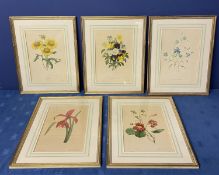 A collection of floral prints in gilt glazed frames 32cm x 22cm (5)
