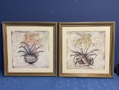 A pair of Contemporary framed and glazed pictures of fauna, Aloe Vera in a pot, signed Brandon, 62 x