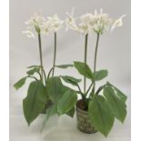 Pair of decorative faux flowers, tall white arrangements in planter, with tall green foliage