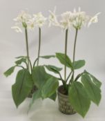 Pair of decorative faux flowers, tall white arrangements in planter, with tall green foliage