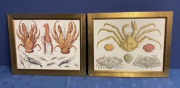 Pair of modern decorative gilt glazed framed prints of crustaceans, 40 x 52cm