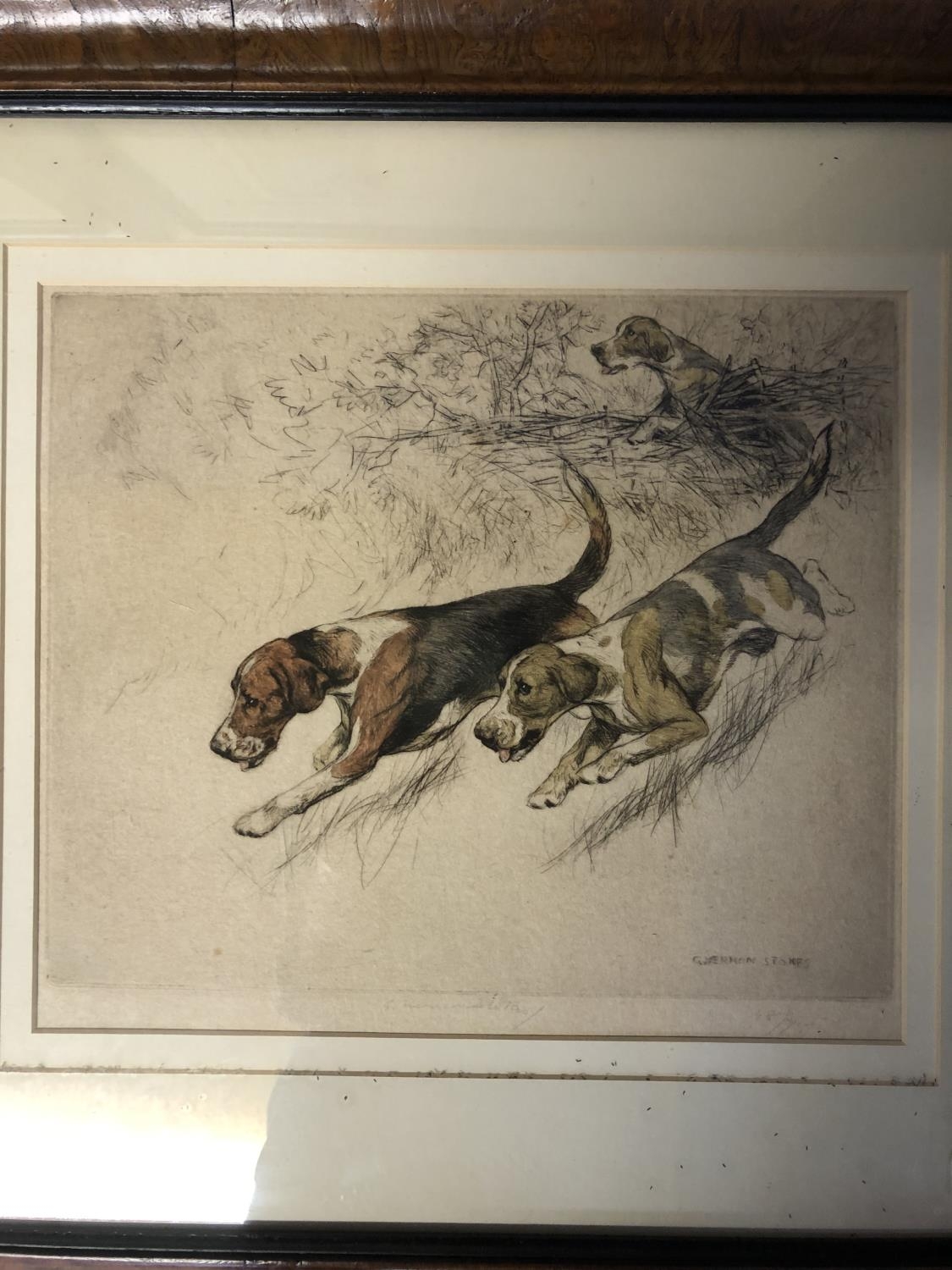 After George Vernon Stokes (173-1954), set of 4 sporting prints, of gun dogs and hounds, image 20 - Image 3 of 6