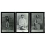 ‘Famous Cricketers and Cricket Grounds’. C.W. Alcock. London 1895 and ‘The Book of Cricket- A New